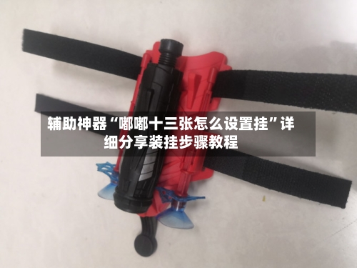 辅助神器“嘟嘟十三张怎么设置挂”详细分享装挂步骤教程-第3张图片
