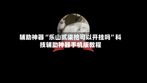 辅助神器“乐山贰柒拾可以开挂吗	”科技辅助神器手机版教程-第2张图片