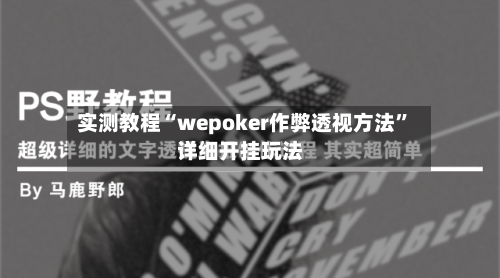 实测教程“wepoker作弊透视方法”详细开挂玩法-第3张图片