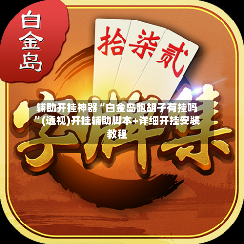 辅助开挂神器“白金岛跑胡子有挂吗”(透视)开挂辅助脚本+详细开挂安装教程