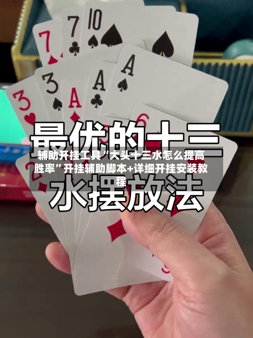 辅助开挂工具“大头十三水怎么提高胜率”开挂辅助脚本+详细开挂安装教程-第2张图片