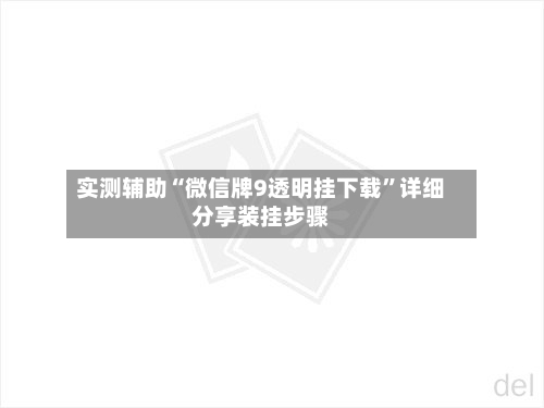 实测辅助“微信牌9透明挂下载”详细分享装挂步骤-第3张图片