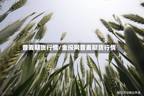 普麦期货行情/金投网普麦期货行情