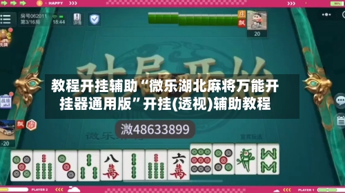教程开挂辅助“微乐湖北麻将万能开挂器通用版”开挂(透视)辅助教程-第2张图片