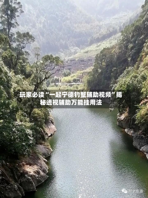 玩家必读“一起宁德钓蟹辅助视频”揭秘透视辅助万能挂用法-第3张图片