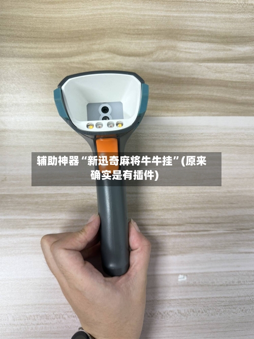 辅助神器“新迅奇麻将牛牛挂”(原来确实是有插件)