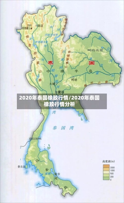 2020年泰国橡胶行情/2020年泰国橡胶行情分析-第2张图片