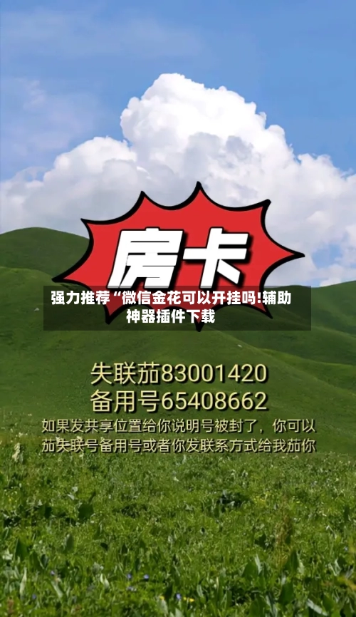 强力推荐“微信金花可以开挂吗!辅助神器插件下载-第3张图片