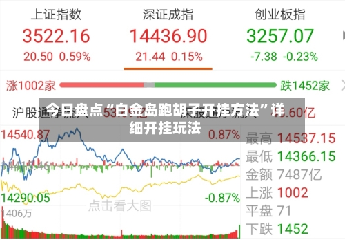 今日盘点“白金岛跑胡子开挂方法”详细开挂玩法-第2张图片
