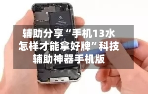 辅助分享“手机13水怎样才能拿好牌	”科技辅助神器手机版-第2张图片