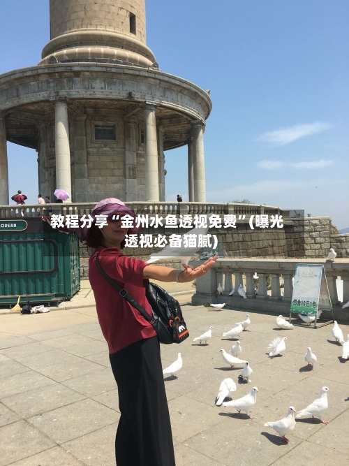 教程分享“金州水鱼透视免费”(曝光透视必备猫腻)
