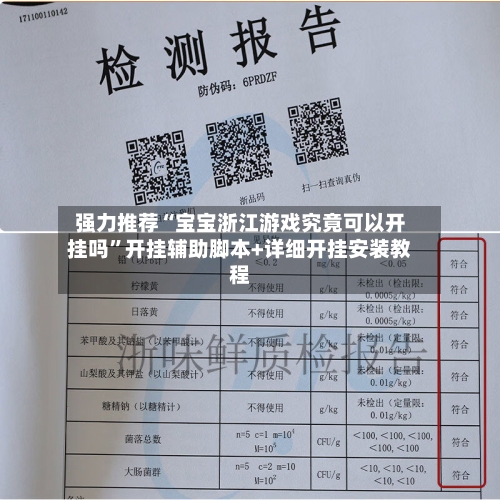 强力推荐“宝宝浙江游戏究竟可以开挂吗	”开挂辅助脚本+详细开挂安装教程-第2张图片