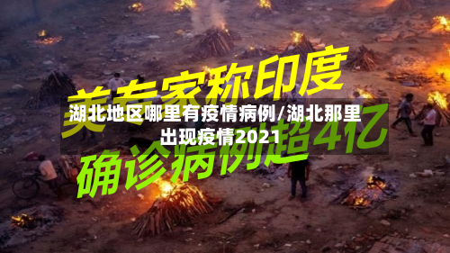 湖北地区哪里有疫情病例/湖北那里出现疫情2021