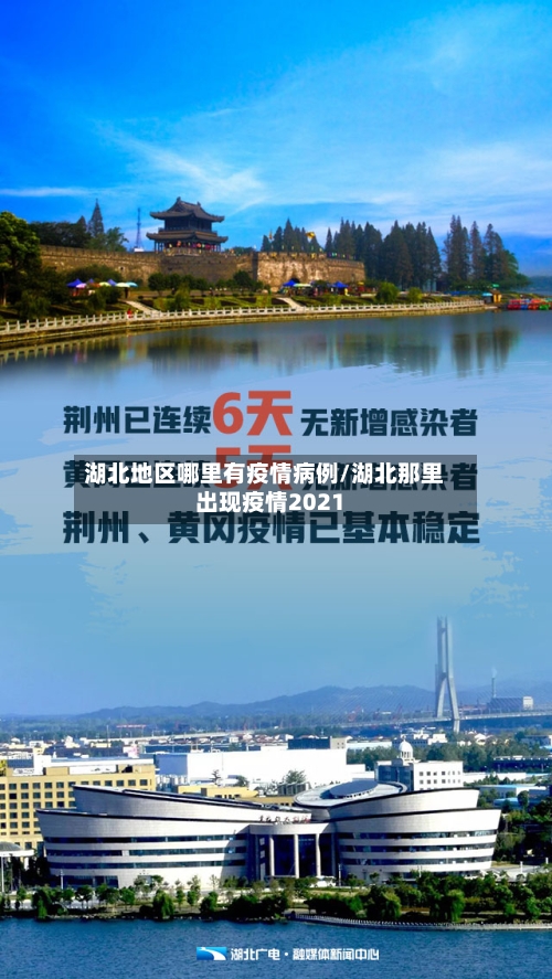 湖北地区哪里有疫情病例/湖北那里出现疫情2021-第2张图片