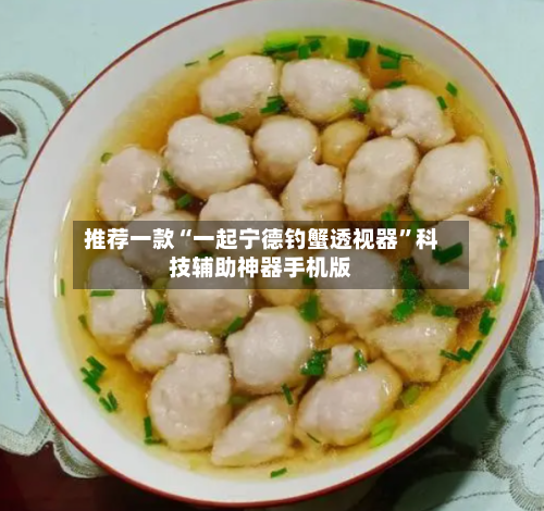 推荐一款“一起宁德钓蟹透视器”科技辅助神器手机版