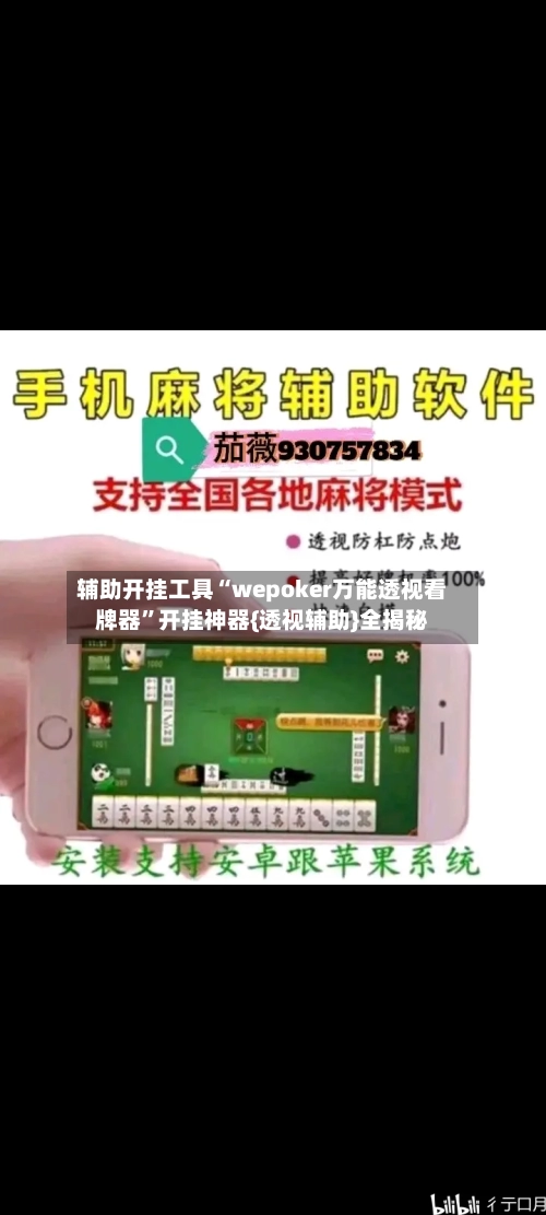 辅助开挂工具“wepoker万能透视看牌器	”开挂神器{透视辅助}全揭秘-第2张图片
