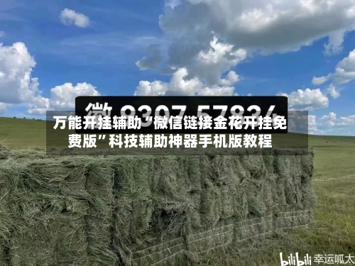 万能开挂辅助“微信链接金花开挂免费版”科技辅助神器手机版教程-第2张图片