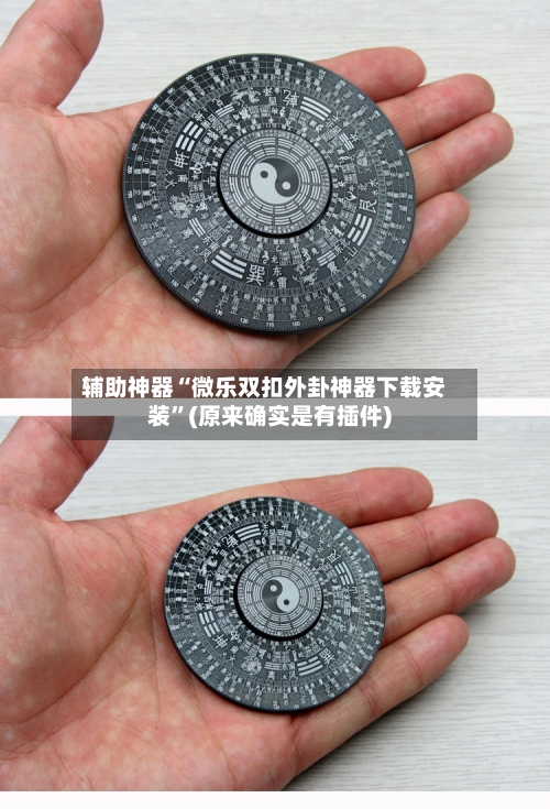 辅助神器“微乐双扣外卦神器下载安装	”(原来确实是有插件)-第2张图片