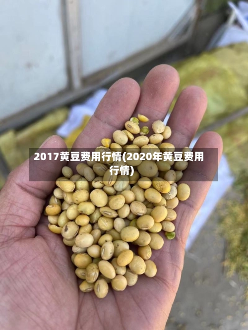 2017黄豆费用行情(2020年黄豆费用行情)-第2张图片