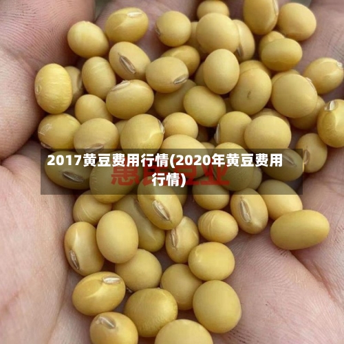 2017黄豆费用行情(2020年黄豆费用行情)-第3张图片