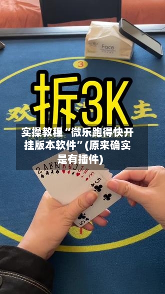 实操教程“微乐跑得快开挂版本软件”(原来确实是有插件)-第3张图片