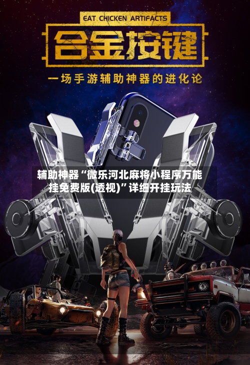 辅助神器“微乐河北麻将小程序万能挂免费版(透视)”详细开挂玩法-第2张图片
