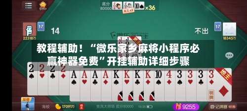 教程辅助！“微乐家乡麻将小程序必赢神器免费”开挂辅助详细步骤-第2张图片