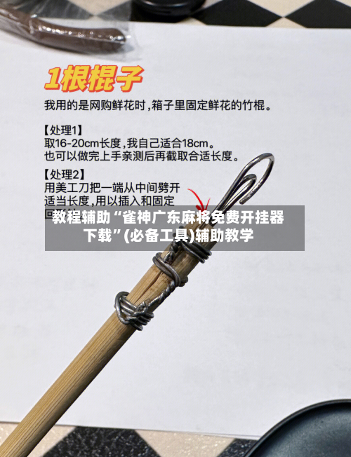 教程辅助“雀神广东麻将免费开挂器下载”(必备工具)辅助教学-第2张图片