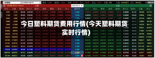 今日塑料期货费用行情(今天塑料期货实时行情)-第2张图片