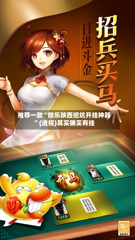 推荐一款“微乐陕西挖坑开挂神器”(透视)其实确实有挂-第3张图片