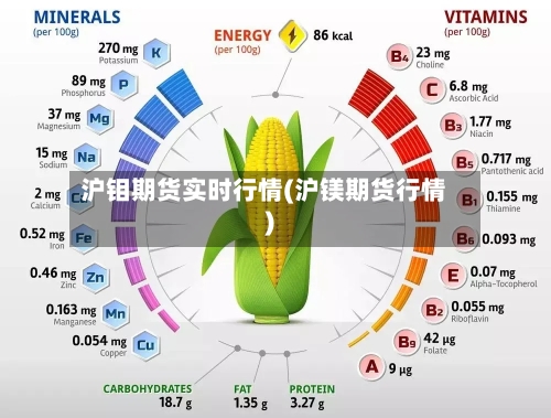 沪钼期货实时行情(沪镁期货行情)-第2张图片