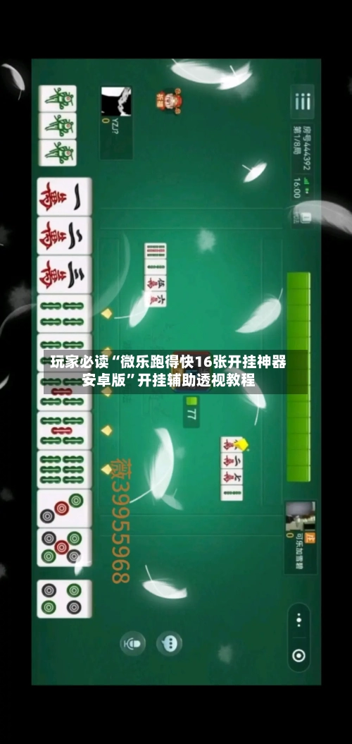 玩家必读“微乐跑得快16张开挂神器安卓版	”开挂辅助透视教程-第2张图片