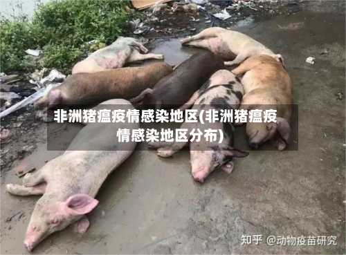 非洲猪瘟疫情感染地区(非洲猪瘟疫情感染地区分布)