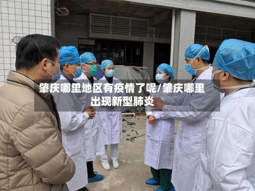 肇庆哪里地区有疫情了呢/肇庆哪里出现新型肺炎-第2张图片