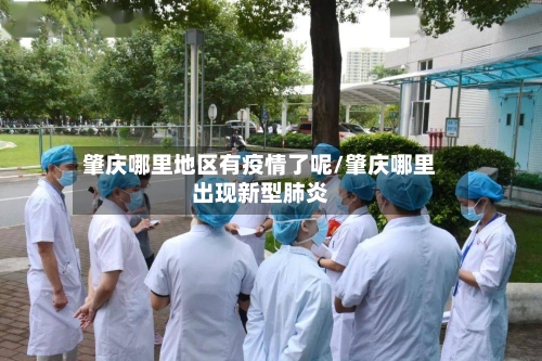 肇庆哪里地区有疫情了呢/肇庆哪里出现新型肺炎-第3张图片