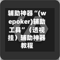 辅助神器“(wepoker)辅助工具”（透视挂）辅助神器教程