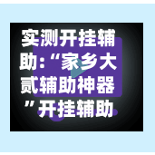 实测开挂辅助:“家乡大贰辅助神器	”开挂辅助详细步骤-第3张图片