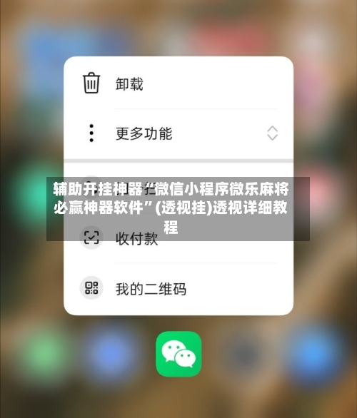 辅助开挂神器“微信小程序微乐麻将必赢神器软件”(透视挂)透视详细教程-第3张图片