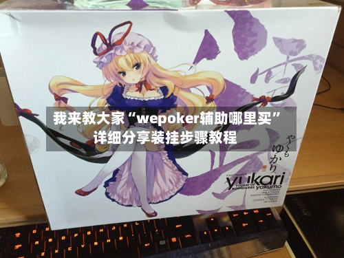 我来教大家“wepoker辅助哪里买”详细分享装挂步骤教程-第3张图片
