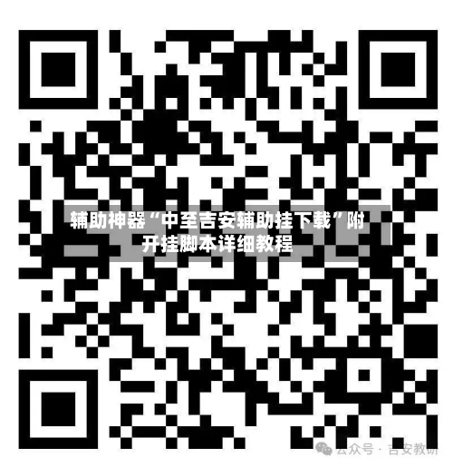 辅助神器“中至吉安辅助挂下载”附开挂脚本详细教程-第2张图片