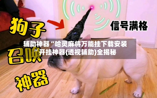 辅助神器“哈灵麻将万能挂下载安装”开挂神器{透视辅助}全揭秘-第3张图片