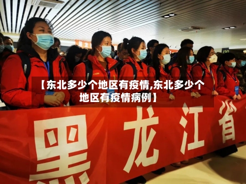 【东北多少个地区有疫情,东北多少个地区有疫情病例】-第2张图片