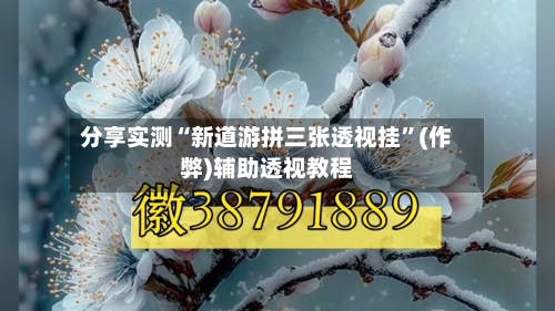 分享实测“新道游拼三张透视挂”(作弊)辅助透视教程-第2张图片