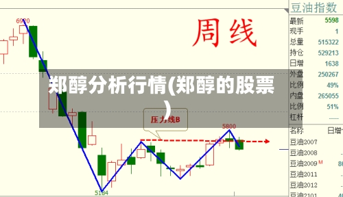 郑醇分析行情(郑醇的股票)