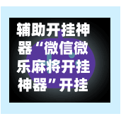 辅助开挂神器“微信微乐麻将开挂神器”开挂辅助脚本+详细开挂安装教程-第2张图片