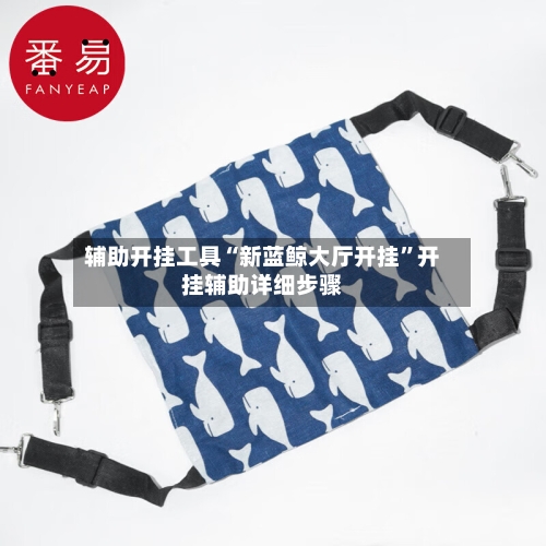 辅助开挂工具“新蓝鲸大厅开挂	”开挂辅助详细步骤-第3张图片