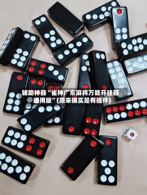 辅助神器“雀神广东麻将万能开挂器通用版”(原来确实是有插件)-第2张图片