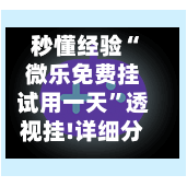 秒懂经验“微乐免费挂试用一天”透视挂!详细分享装挂步骤-第2张图片