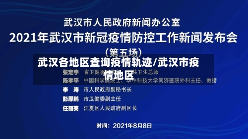 武汉各地区查询疫情轨迹/武汉市疫情地区