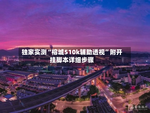独家实测“榕城510k辅助透视”附开挂脚本详细步骤-第2张图片